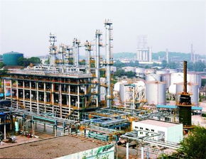 化工行業(yè)大洗牌已注定,什么樣的化工廠能活下來